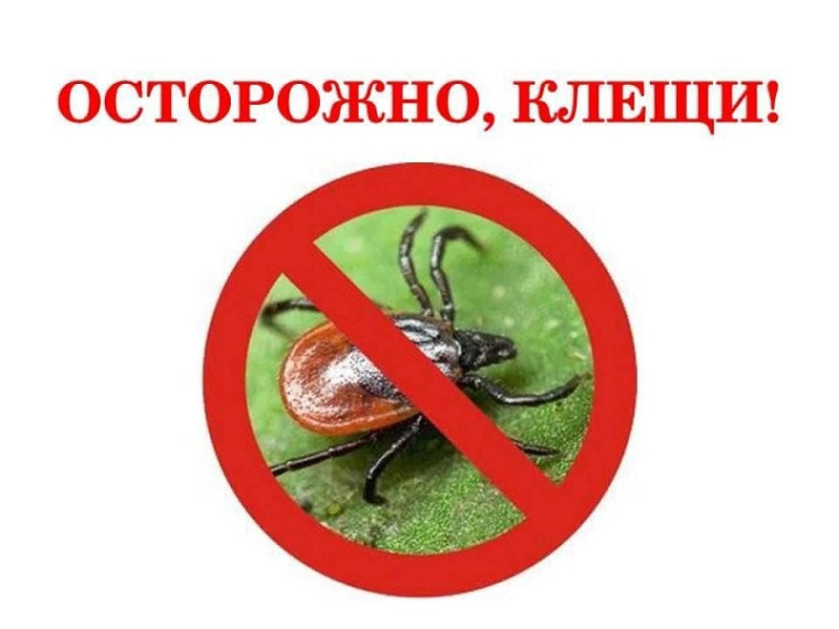 Осторожно, клещи!.